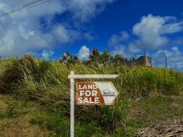 Cabbage Tree Housing, Cayon land for sale